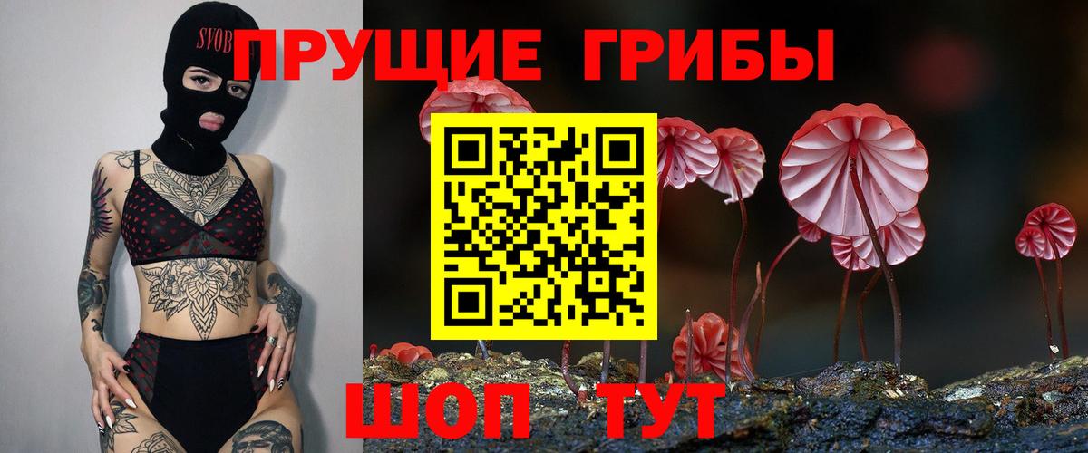 Новочебоксарск  Галлюциногенные грибы Psilocybe  Вход с VPN 