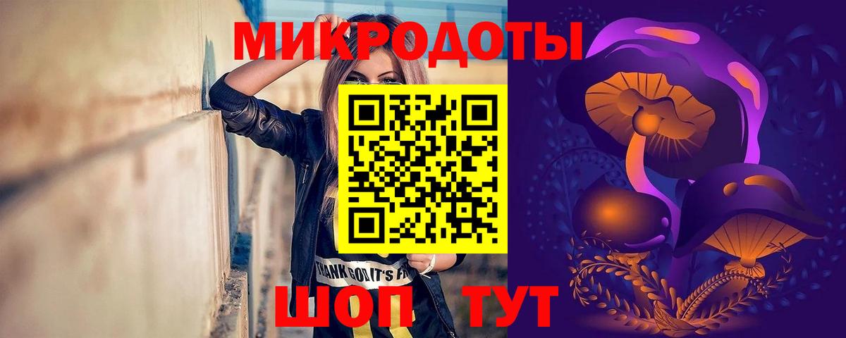 Псилоцибиновые грибы Psilocybe Новочебоксарск
